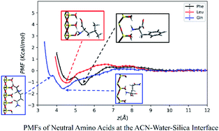 Graphical abstract: Molecular dynamics simulations of amino acid adsorption and transport at the acetonitrile–water–silica interface: the role of side chains