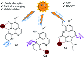 Graphical abstract: Antioxidant and UV-radiation absorption activity of aaptamine derivatives – potential application for natural organic sunscreens