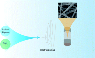 Graphical abstract: Preparation and characterization of sodium alginate–PVA polymeric scaffolds by electrospinning method for skin tissue engineering applications