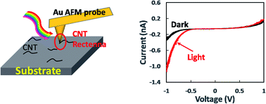 Graphical abstract: Single wall carbon nanotube based optical rectenna