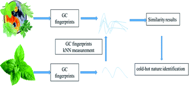 Graphical abstract: Cold–hot nature identification based on GC similarity analysis of Chinese herbal medicine ingredients