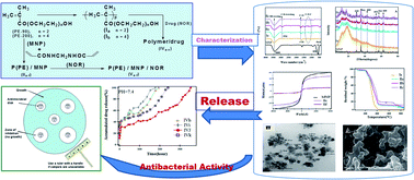 Graphical abstract: Synthesis and efficacy of norfloxacin loaded onto magnetic hydrogel nanocomposites