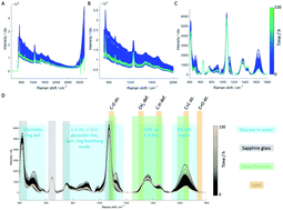 Graphical abstract: Non-invasive Raman spectroscopy for time-resolved in-line lipidomics