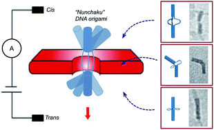 Graphical abstract: Structure-flexible DNA origami translocation through a solid-state nanopore