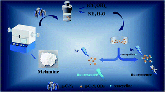 Graphical abstract: Facile synthesis of carbon nitride quantum dots as a highly selective and sensitive fluorescent sensor for the tetracycline detection