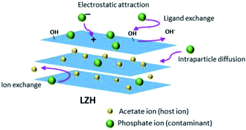Graphical abstract: Layered zinc hydroxide as an adsorbent for phosphate removal and recovery from wastewater
