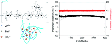 Graphical abstract: Highly conductive locust bean gum bio-electrolyte for superior long-life quasi-solid-state zinc-ion batteries