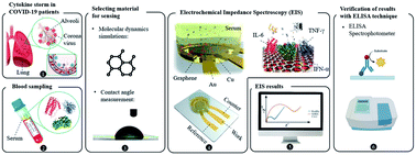 Graphical abstract: A label-free graphene-based impedimetric biosensor for real-time tracing of the cytokine storm in blood serum; suitable for screening COVID-19 patients
