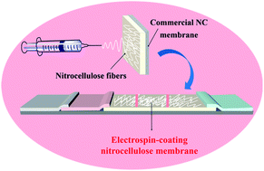 Graphical abstract: Modification of a nitrocellulose membrane with nanofibers for sensitivity enhancement in lateral flow test strips