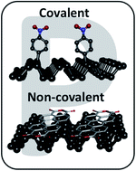 Graphical abstract: Covalent and non-covalent chemistry of 2D black phosphorus