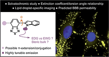 Graphical abstract: Indolylbenzothiadiazoles as highly tunable fluorophores for imaging lipid droplet accumulation in astrocytes and glioblastoma cells