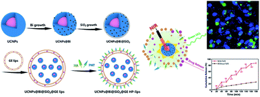 Graphical abstract: NIR-triggered upconversion nanoparticles@thermo-sensitive liposome hybrid theranostic nanoplatform for controlled drug delivery