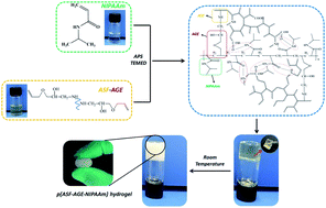 Graphical abstract: Degradable allyl Antheraea pernyi silk fibroin thermoresponsive hydrogels to support cell adhesion and growth