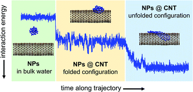 Graphical abstract: Coarse-grained molecular dynamics simulations of nanoplastics interacting with a hydrophobic environment in aqueous solution