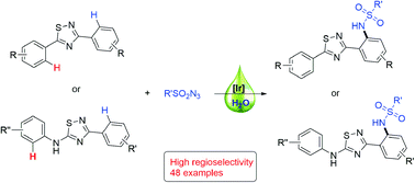 Graphical abstract: Iridium-catalyzed regioselective C–H sulfonamidation of 1,2,4-thiadiazoles with sulfonyl azides in water