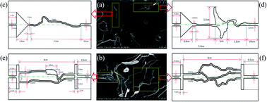 Graphical abstract: Flow behaviors of nitrogen and foams in micro-visual fracture-vuggy structures