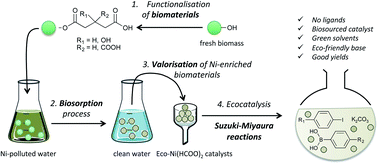 Graphical abstract: New biomaterials for Ni biosorption turned into catalysts for Suzuki–Miyaura cross coupling of aryl iodides in green conditions
