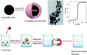 Graphical abstract: Theoretical and experimental studies on uranium(vi) adsorption using phosphine oxide-coated magnetic nanoadsorbent