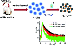 Graphical abstract: Urea-doped carbon dots as fluorescent switches for the selective detection of iodide ions and their mechanistic study