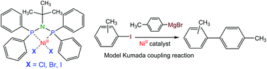 Graphical abstract: Effects of the halogenido ligands on the Kumada-coupling catalytic activity of [Ni{tBuN(PPh2)2-κ2P}X2], X = Cl, Br, I, complexes