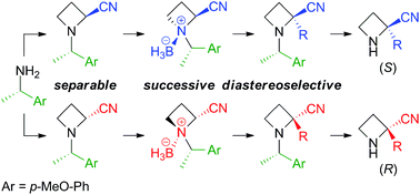 Graphical abstract: Synthesis of optically active 2-substituted azetidine-2-carbonitriles from chiral 1-arylethylamine via α-alkylation of N-borane complexes