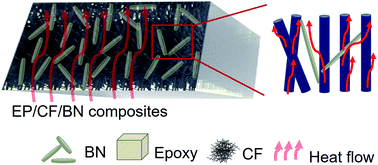 Graphical abstract: Epoxy composite with high thermal conductivity by constructing 3D-oriented carbon fiber and BN network structure