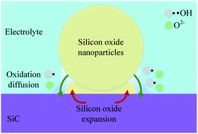 Graphical abstract: Investigation of oxidation mechanism of SiC single crystal for plasma electrochemical oxidation