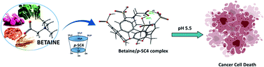 Graphical abstract: Betaine host–guest complexation with a calixarene receptor: enhanced in vitro anticancer effect
