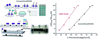 Graphical abstract: Integration of Ni/NiO nanoparticles and a microfluidic ELISA chip to generate a sensing platform for Streptococcus pneumoniae detection