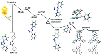 Graphical abstract: Microscopic mechanism of light-induced tetrazole-quinone 1,3-dipolar cycloaddition: a MS-CASPT2 theoretical investigation