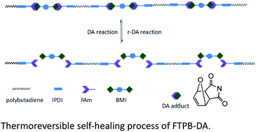 Graphical abstract: Preparation and characterization of self-healing furan-terminated polybutadiene (FTPB) based on Diels–Alder reaction