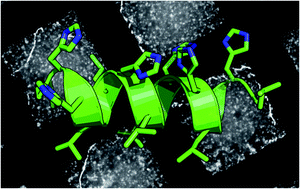 Graphical abstract: Assembly of iron oxide nanosheets at the air–water interface by leucine–histidine peptides