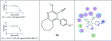 Graphical abstract: New pyridine and chromene scaffolds as potent vasorelaxant and anticancer agents