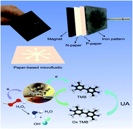 Graphical abstract: Architecture of a multi-channel and easy-to-make microfluidic paper-based colorimetric device (μPCD) towards selective and sensitive recognition of uric acid by AuNPs: an innovative portable tool for the rapid and low-cost identification of clinically relevant biomolecules