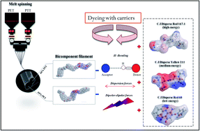 Graphical abstract: Ecological and cleaner process for dyeing bicomponent polyester filaments (PET/PTT) using ecological carriers: analysis of dyeing performance