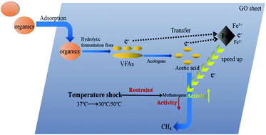 Graphical abstract: The effects of temperature shock on the treatment of high-concentration organic wastewater by an Fe0/GO-anaerobic system