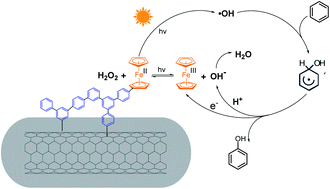 Graphical abstract: Ferrocene-based conjugated microporous polymer and its multiwalled carbon nanotube composite for direct photocatalytic benzene hydroxylation to phenol