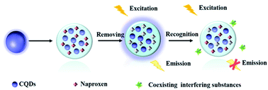 Graphical abstract: Highly sensitive and selective detection of naproxen via molecularly imprinted carbon dots as a fluorescent sensor