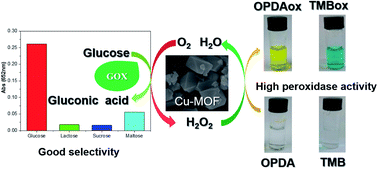 Graphical abstract: A nano-sized Cu-MOF with high peroxidase-like activity and its potential application in colorimetric detection of H2O2 and glucose