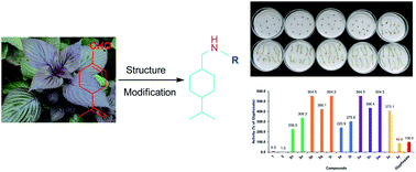 Graphical abstract: Design, synthesis, and herbicidal activity of sec-p-menthane-7-amine derivatives as botanical herbicides