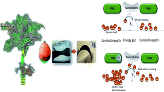 Graphical abstract: Low cost, high efficiency flexible supercapacitor electrodes made from areca nut husk nanocellulose and silver nanoparticle embedded polyaniline