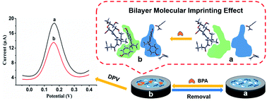 Graphical abstract: 4-Pentenoyl-isoleucyl-chitosan oligosaccharide and acrylamide functional monomer-dependent hybrid bilayer molecularly imprinted membrane for sensitive electrochemical sensing of bisphenol A