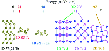 Graphical abstract: Prediction of allotropes of tellurium with molecular, one- and two-dimensional covalent nets for photofunctional applications