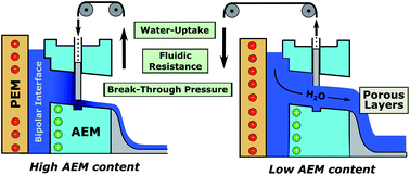 Graphical abstract: The influence of the anion exchange membrane on mass-transport limiting phenomena in bipolar interface fuel cells with Fe–N/C based cathode catalyst layers