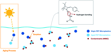 Graphical abstract: Enhanced sorption of the UV filter 4-methylbenzylidene camphor on aged PET microplastics from both experimental and theoretical perspectives