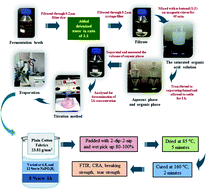 Graphical abstract: Bio-synthesis of itaconic acid as an anti-crease finish for cellulosic fiber fabric