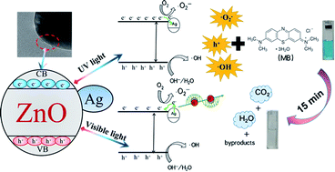 Graphical abstract: Fabrication, characterization and high photocatalytic activity of Ag–ZnO heterojunctions under UV-visible light