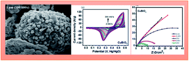 Graphical abstract: Phyto-inspired Cu/Bi oxide-based nanocomposites: synthesis, characterization, and energy relevant investigation