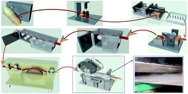 Graphical abstract: Manufacturing of polytetrafluoroethylene fine fibers by waterjet impacting