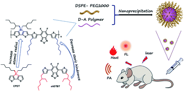 Graphical abstract: Dithieno[3,2-b:2′,3′-d]silole-based conjugated polymers for bioimaging in the short-wave infrared region